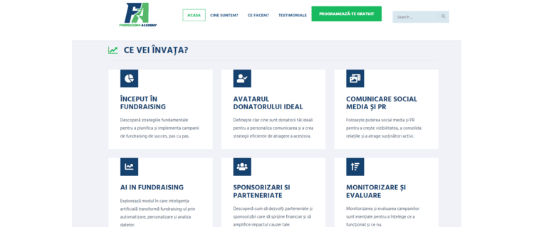 realizare website